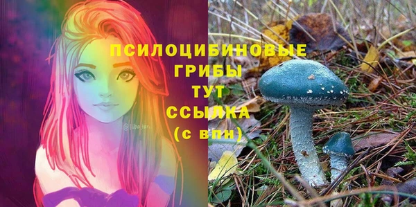 соль курить ск Алзамай