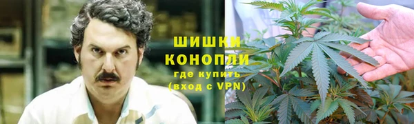трава Алексеевка