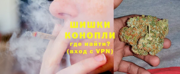 прущие грибы Ельня