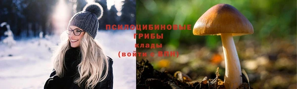 соль курить ск Алзамай