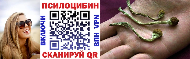 Галлюциногенные грибы MAGIC MUSHROOMS  Дмитровск 